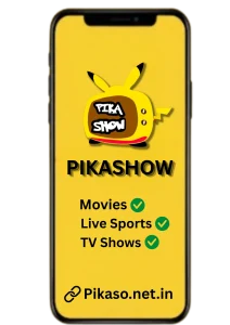 Pikaso https://pikaso.net.in/