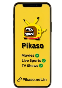 Pikaso https://pikaso.net.in/
